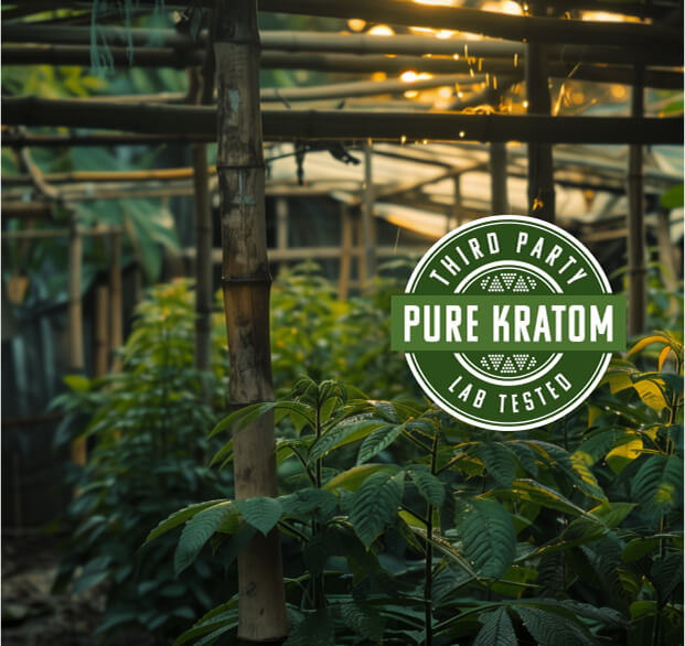 Kratom Hive Team